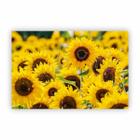 Quadro Canvas Premium Fotografia Girassol Flores 90X60Cm