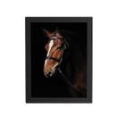 Quadro Cavalo Animais Fotografia Moldura Preta 60X40Cm