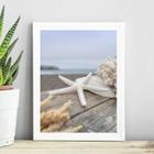 Quadro Coleção Praia Soft - Estrela Do Mar 33X24Cm - Vidro