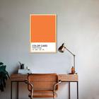 Quadro Color Card Celosia Orange 43x30 Caixa Marfim