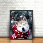 Quadro Com Moldura Animais Cão Cachorro Akita Inu Pet Neve