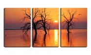 Quadro Decorativo 30x66 galhos secos no lago