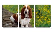 Quadro Decorativo 30x66 olha de beagle