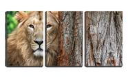 Quadro Decorativo 30x66 olhar de leão na árvore