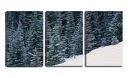 Quadro Decorativo 30x66 pinheiros sobre a neve