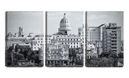 Quadro Decorativo 30x66 tetos de havana pb