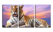 Quadro Decorativo 30x66 tigre deitado boca aberta