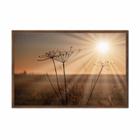 Quadro decorativo 40x60cm canvas dente de leao raios ao sol flnt096