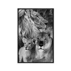 Quadro decorativo 40x60cm canvas familia de leoes pb anm029