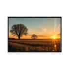 Quadro decorativo 40x60cm vidro arvore campo por do sol flnt082