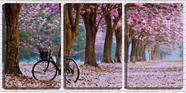 Quadro Decorativo 45x96 bicicleta sobre flores rosas