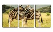 Quadro Decorativo 45x96 duas zebras se coçando