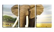 Quadro Decorativo 45x96 grande elefante na savana
