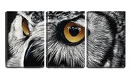 Quadro Decorativo 45x96 olhar de coruja desenho arte