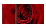 Quadro Decorativo 45x96 pingos na rosa vermelha