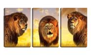 Quadro Decorativo 45x96 três leões na savana vintage