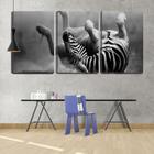 Quadro Decorativo 45x96 zebra de pernas pro ar pb