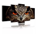 quadro decorativo 5 telas Coruja"