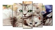 quadro decorativo 5 telas Mosaico Casa Animais Pet Gatos"