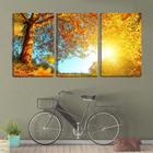 Quadro Decorativo 55x110 folhas de outono caindo sob sol