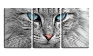 Quadro Decorativo 55x110 olhar azul de gato pb