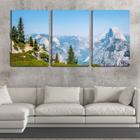 Quadro Decorativo 68x126 pinheiros na montanha de neve