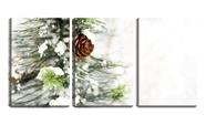 Quadro Decorativo 68x126 semente de pinheiro na neve