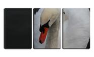 Quadro Decorativo 80x140 cisne branco fundo preto