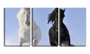 Quadro Decorativo 80x140 dois cavalos branco e preto