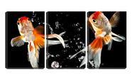 Quadro Decorativo 80x140 dois peixes ornamentais