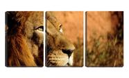 Quadro Decorativo 80x140 olhar fixo de leão