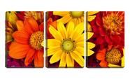 Quadro Decorativo 80x140 pétalas coloridas de flores