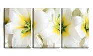 Quadro Decorativo 80x140 pétalas de flores brancas