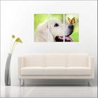 Quadro Decorativo Animais Cão Pet Shop Salas 3 peças Com Moldura