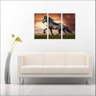 Quadro Decorativo Animais Cavalo Salas 3 peças Com Moldura