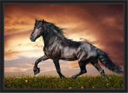 Quadro Decorativo Animais Cavalos Petshop Decoração Com Moldura