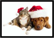 Quadro Decorativo Animais Gato Cachorro Natal Veterinário Pet Shop Natureza Com Moldura RC058
