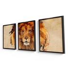 Quadro Decorativo Animais Leão Moldura Preta 60X40 3 Peças