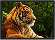 Quadro Decorativo Flutuante Animal Selvagem Tigre Deitado na Grama