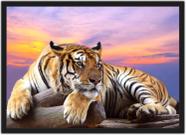 Quadro Decorativo Flutuante Animal Selvagem Tigre Deitado na Grama