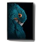 Quadro Decorativo Arara Azul Animais Fundo Preto Arte