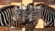 Quadro Decorativo Arte Quadro Zebras 5 Peças 100x60cm