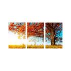 Quadro Decorativo Árvore De Outono 3P Sem Moldura 115X57