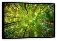 Quadro Decorativo Árvore Folhas Troncos Paisagem Natureza Sala Tela Canvas Premium 