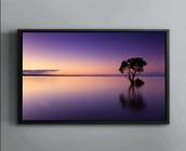 Quadro Decorativo Árvore Sol Águas Horizonte Paisagem Natureza Salas Tela Canvas Premium