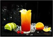 Quadro Decorativo Bebidas Drinks Coquetel Sucos Pub Bares Lanchonetes Com Moldura RC000