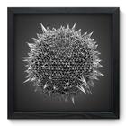 Quadro Decorativo - Bola - 33cm x 33cm - 180qdap