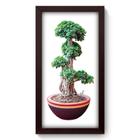 Quadro Decorativo - Bonsai - 19cm x 34cm - 282qddp