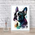 Quadro Decorativo Boston Terrier Aquarela 24X18Cm