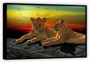 Quadro Decorativo Casal Leão Alto Padrão Animais Tela Canvas Premium Salas